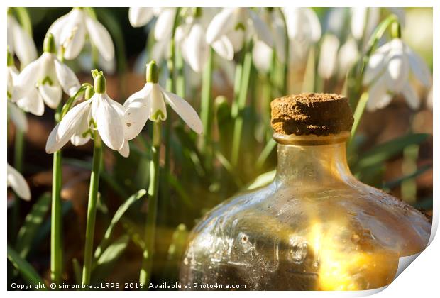 Snowdrops and glass bottle sunrise Print by Simon Bratt LRPS