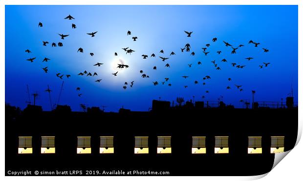 Building windows asleep with birds Print by Simon Bratt LRPS