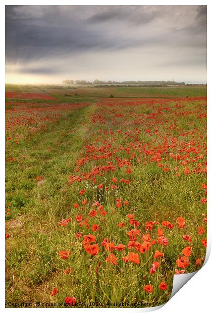 Vast red poppy fields at dawn Print by Simon Bratt LRPS