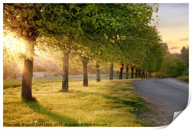 Rural road lined with trees at sunset Print by Simon Bratt LRPS