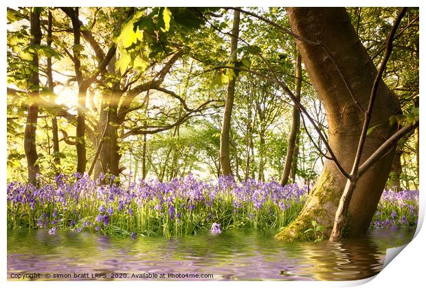 Amazing lake in bluebell woods at dawn Print by Simon Bratt LRPS