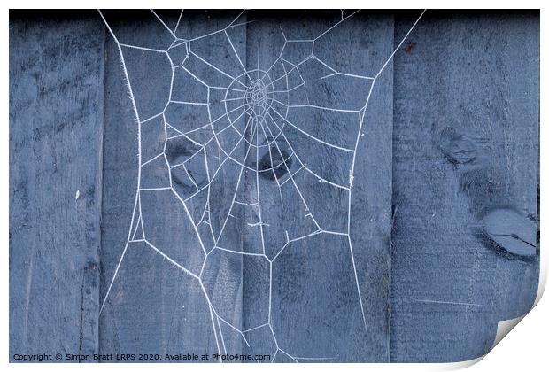 Spiders web on fence covered in ice Print by Simon Bratt LRPS