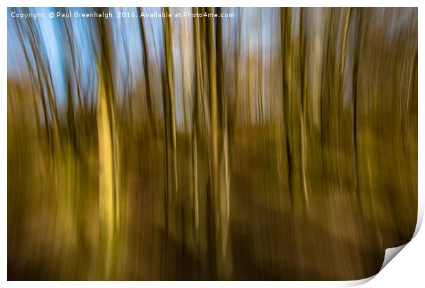 Trees in Motion Print by Paul Greenhalgh