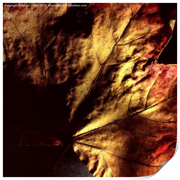  Autumn Leaves Print by Ashley Cottle
