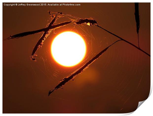  Sunset in the Spiders web Print by Jeffrey Greenwood