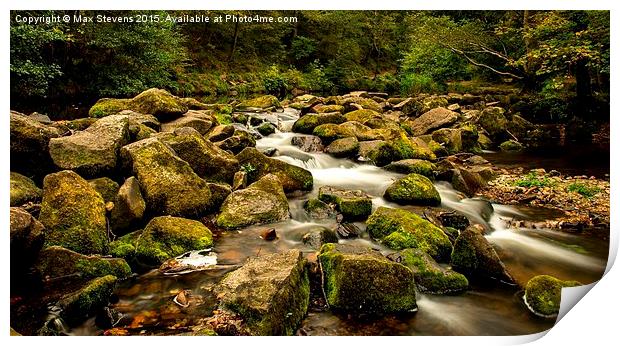  Autumn on the River Bovey Print by Max Stevens