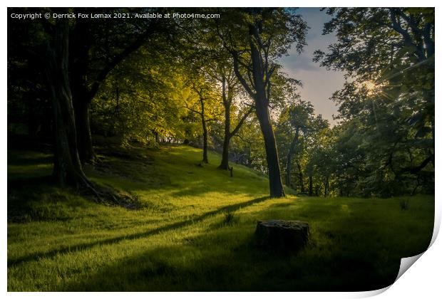 Forest of Bowland Print by Derrick Fox Lomax