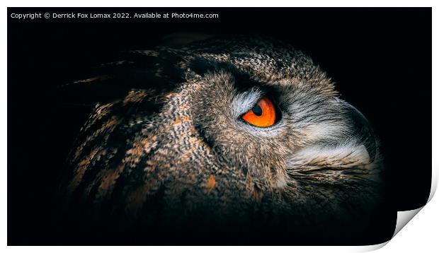 Eagle Owl Portrait Print by Derrick Fox Lomax