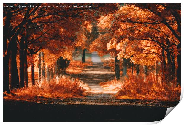 Autumn trees  in rivington Print by Derrick Fox Lomax