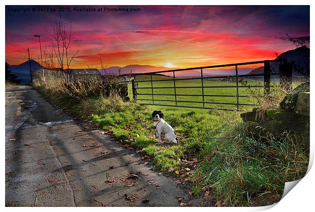  sunset walk Print by Derrick Fox Lomax