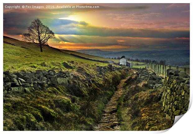 farm view in lancashire Print by Derrick Fox Lomax