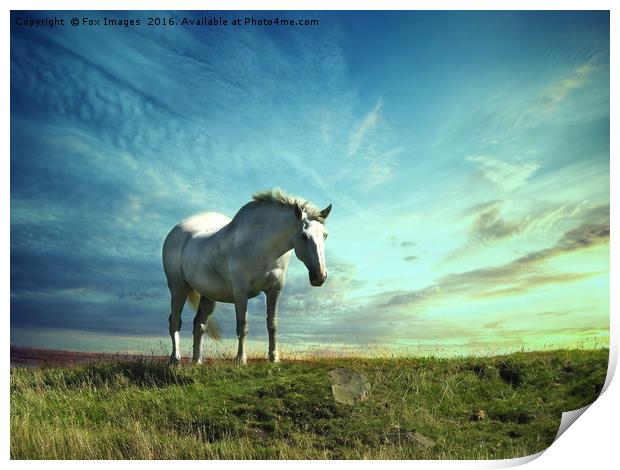 White horse on the hill Print by Derrick Fox Lomax