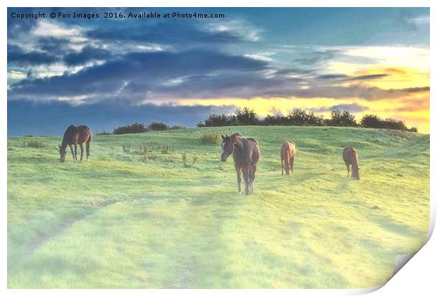  Misty Sunrise horses Print by Derrick Fox Lomax