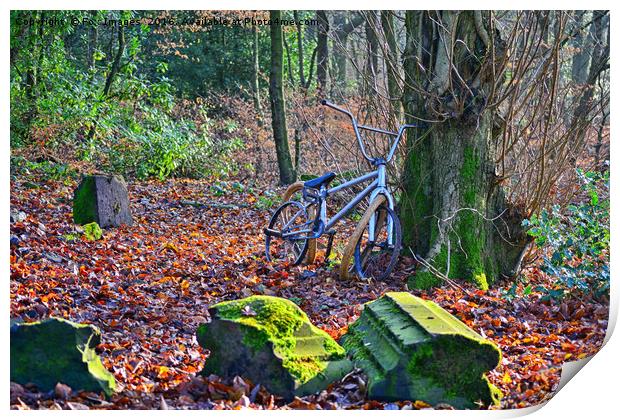 Bike in the forest Print by Derrick Fox Lomax