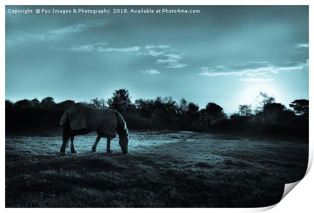 Horse under moonlight Print by Derrick Fox Lomax