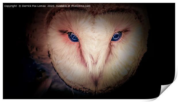 Barn Owl Print by Derrick Fox Lomax