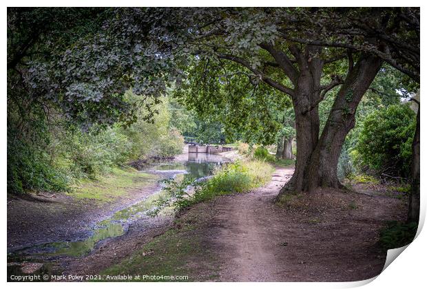 Basingstoke Canal - Dry in Summer  Print by Mark Poley