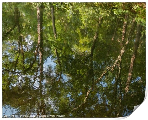 Reflections of Summer Trees along the Basingstoke  Print by Mark Poley