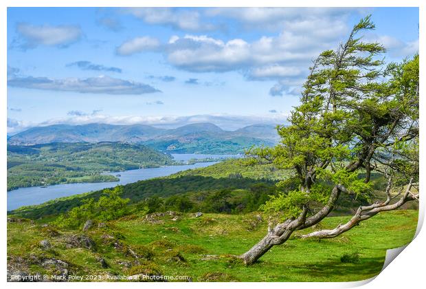 Windermere Lake and Gummers How Print by Mark Poley