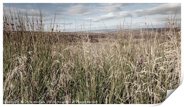Through the long grass to the Peak District moors Print by Chris Warham