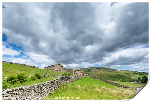 Swaledale Barns and cloudscape Print by Chris Warham