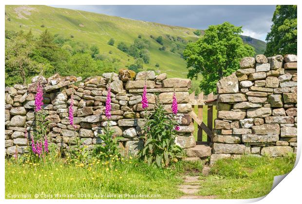 Swaledale - gateway to a hay meadow Print by Chris Warham