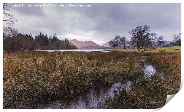  The Stream To Catbells Print by Phil Maddison
