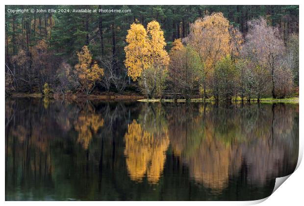 Autumn Reflection Print by John Ellis