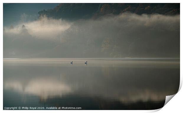 Loweswater Mist and Swans, Lake District Print by Philip Royal
