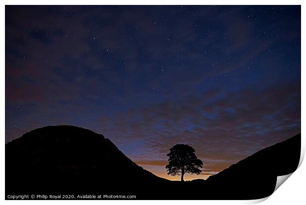 The Big Dipper over Sycamore Gap, Northumberland Print by Philip Royal
