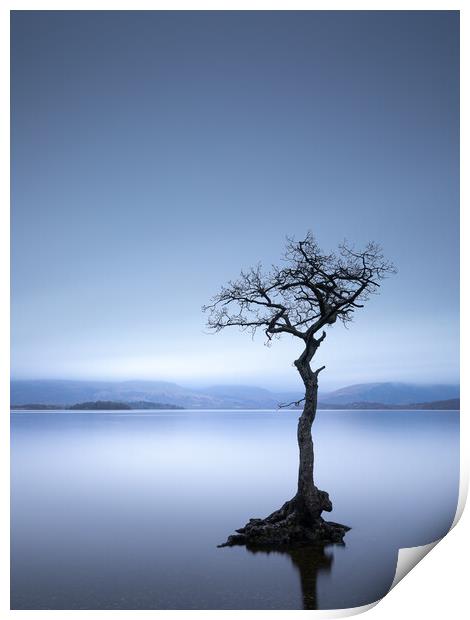 Loch Lomond Scotland Print by Phil Durkin DPAGB BPE4