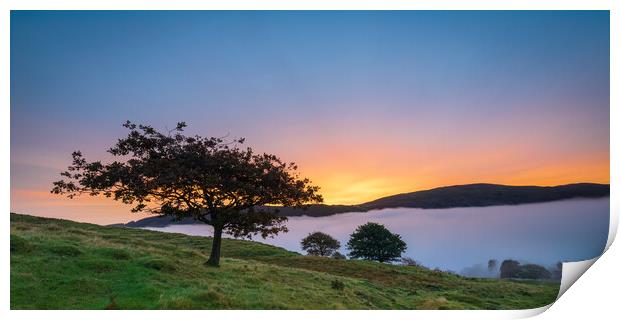 Lone Tree Over Coniston At Sunrise Print by Phil Durkin DPAGB BPE4