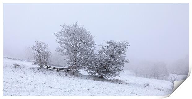 Trees In Winter Snow Print by Phil Durkin DPAGB BPE4