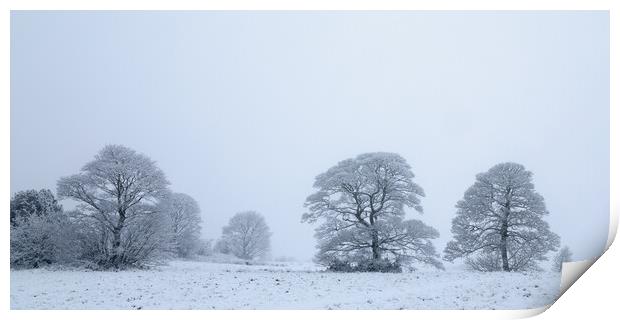 Winter Snow Covered Oak Trees Print by Phil Durkin DPAGB BPE4