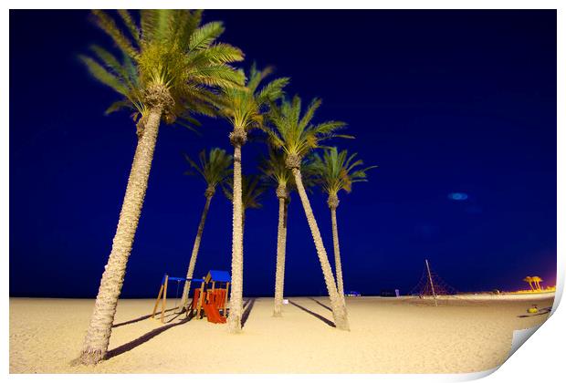 Palms in theevening. Beach of Roquetas de Mar Print by Jose Manuel Espigares Garc