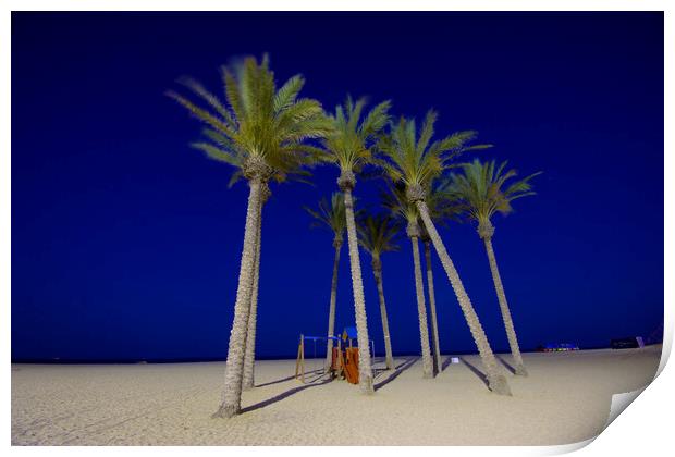 Palms in theevening. Beach of Roquetas de Mar 2 Print by Jose Manuel Espigares Garc
