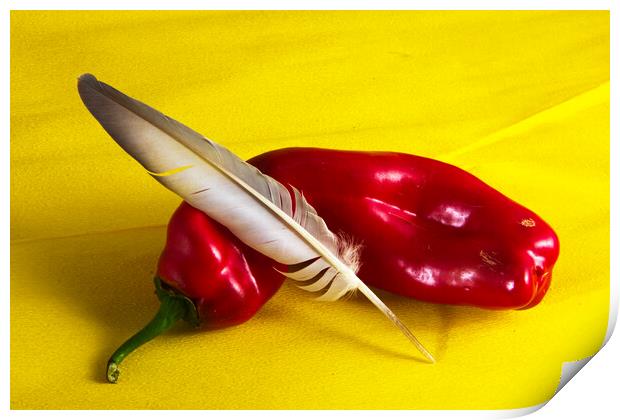Minimalistic still life with a red pepper and a feather Print by Jose Manuel Espigares Garc