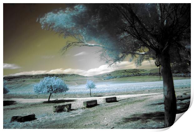 Infrared photography with a long exposition Print by Jose Manuel Espigares Garc