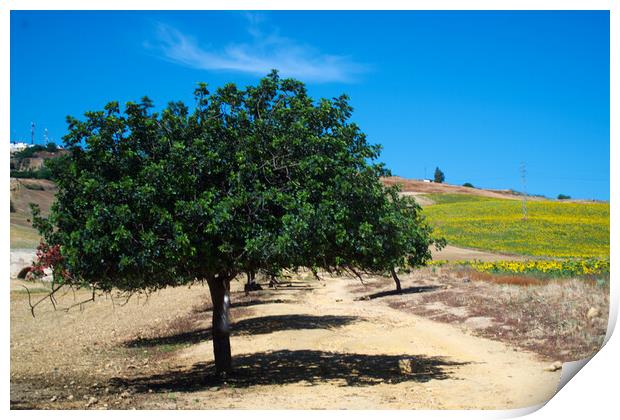 Landscape photography with a long exposition Print by Jose Manuel Espigares Garc