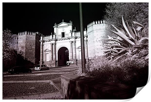 Infrared photography 1 Print by Jose Manuel Espigares Garc