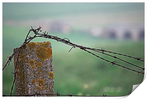 Barbed wire in the countryside 2 Print by Jose Manuel Espigares Garc