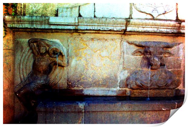Detail of a fountain in Granada. Lomography Print by Jose Manuel Espigares Garc