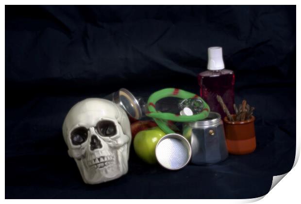 Still life with a skull and a green snake Print by Jose Manuel Espigares Garc