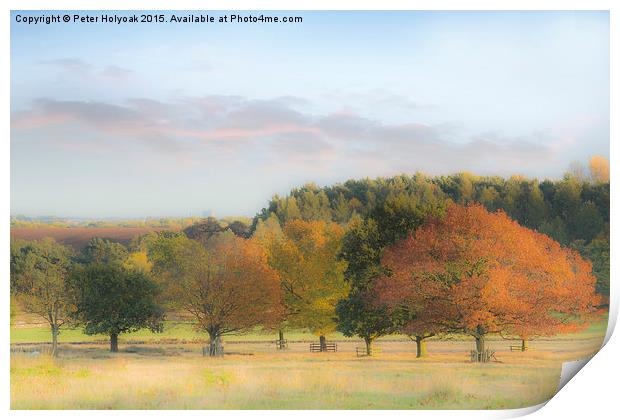 Autumn Hues Print by Pete Holyoak