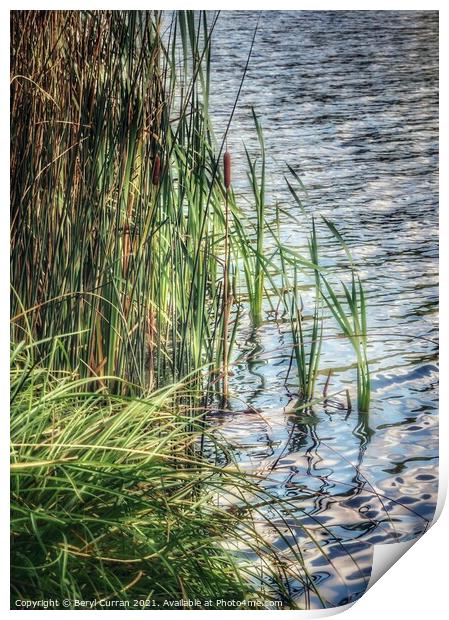 Serene Waters Print by Beryl Curran