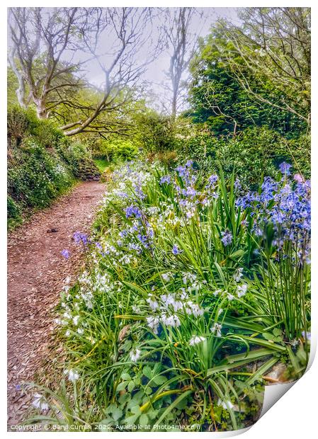 Enchanting Springtime Woods Print by Beryl Curran