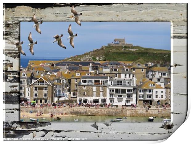 Seagulls View of St Ives Print by Beryl Curran