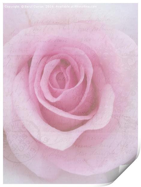 Sweethearts Rose Love Letter Print by Beryl Curran