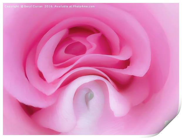 Pink Ladys Graceful Elegance Print by Beryl Curran