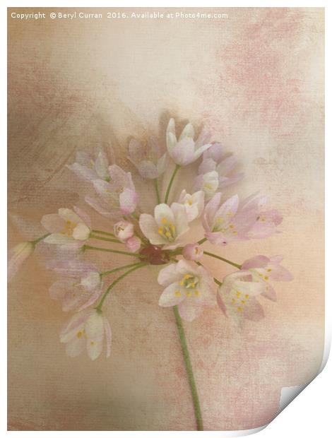 Enchanting Wild Bellflowers Print by Beryl Curran